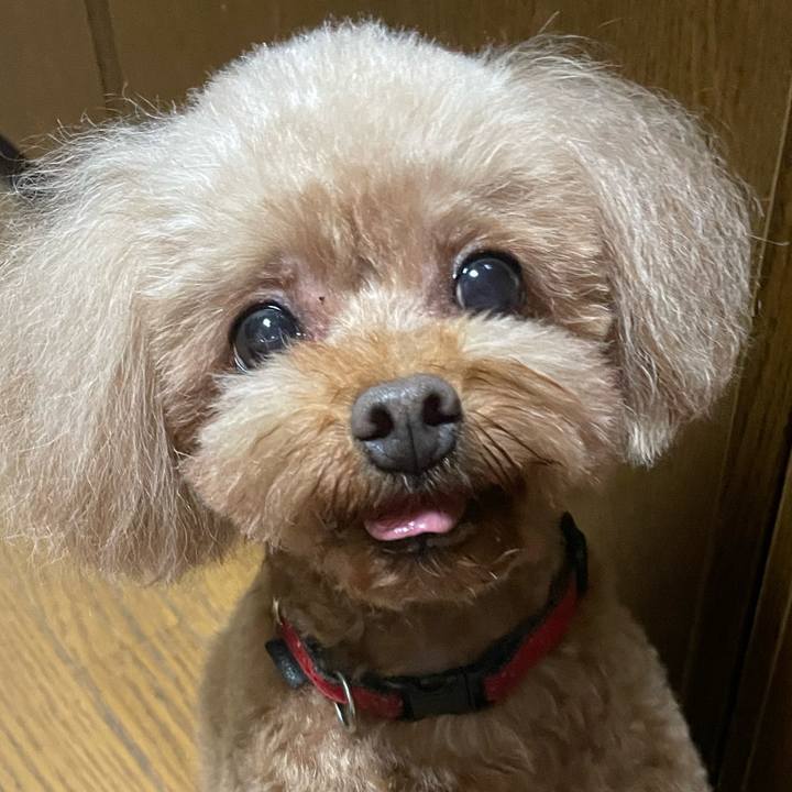 48e03be9 d76c 4d3f 9420 8b01583080bb 1719659593822