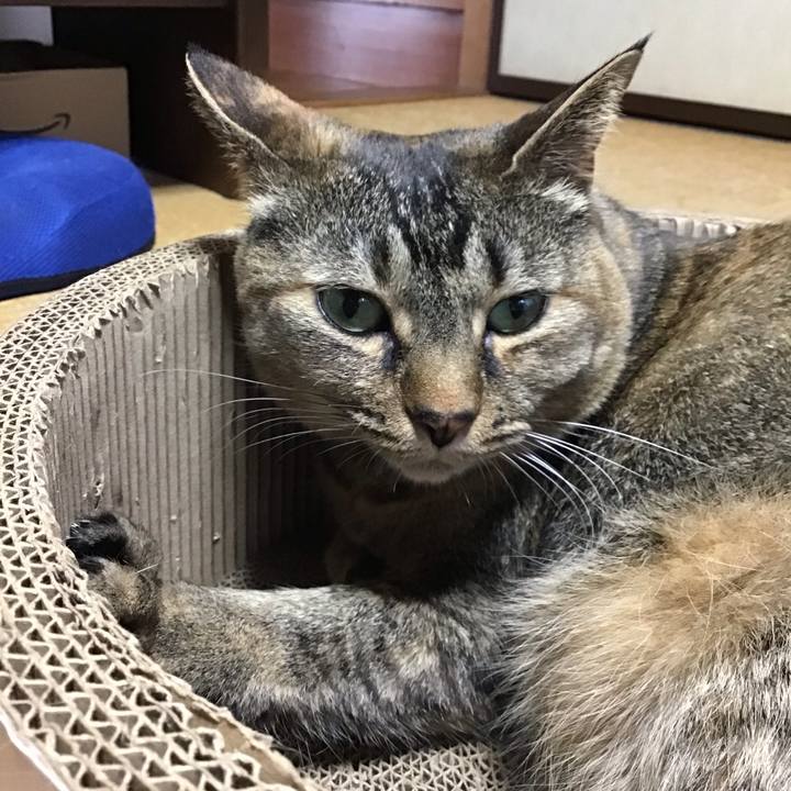 48e085a3 ca83 4833 aa7d 12318aa28b0a 1747646356095