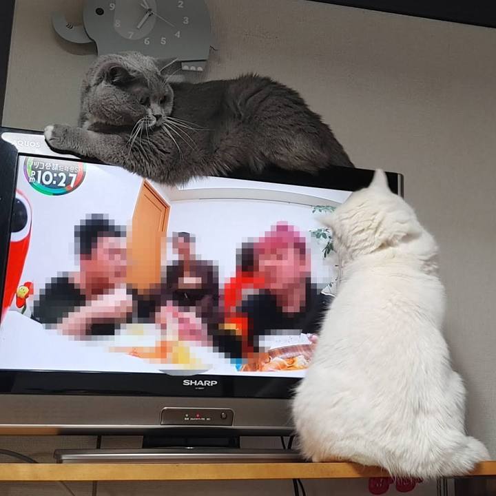 48e0abd9 0757 474c 9cdc b770e5a11d59 1705444958788