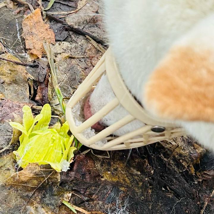 48e0c64a a50c 4d9e 94d1 5b2b53e3e04e 1774218877847