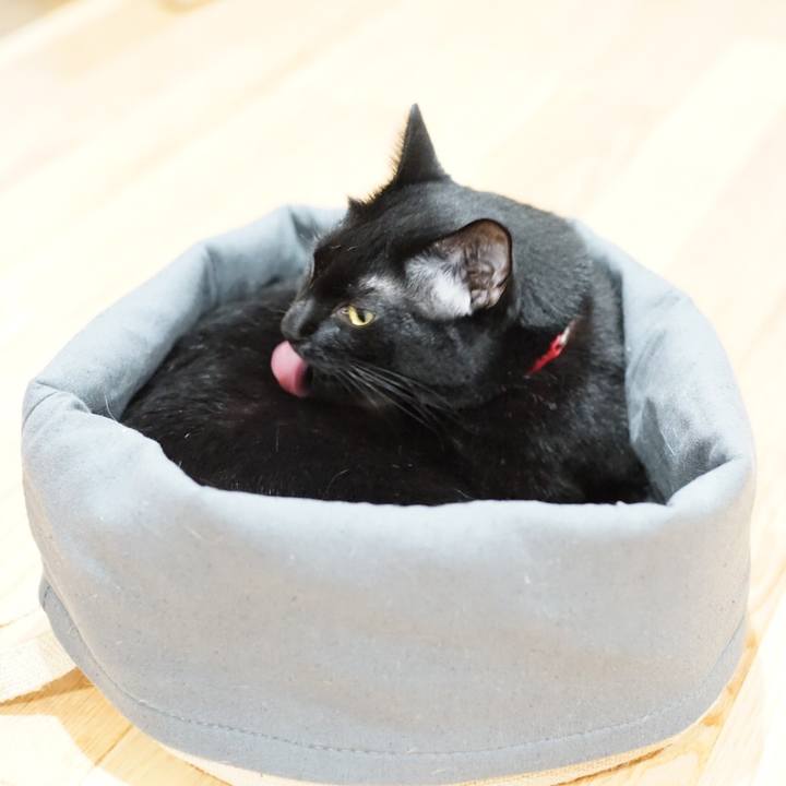 48e0f4cd 34e4 4170 85ed 42ea6c532917 1533632608791