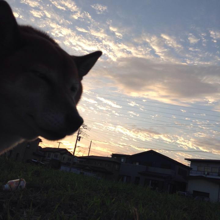 48e10626 3b6f 4db4 ae01 0c643f08fd35 1536138763036