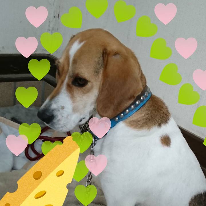 48e10e65 35f6 49ac a40e ec3b7d9e58ef 1574665662535