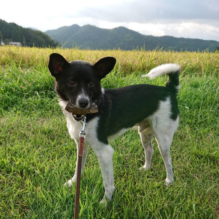 48e128d0 aaf5 4d2b 9834 ad1ee4da12d4 1535670402489