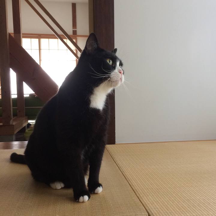 48e14971 b7c7 47cc aee3 529ca952b627 1531871904120