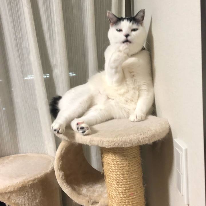 48e14c35 f3fb 491d bab0 f00798418b18 1543585951053