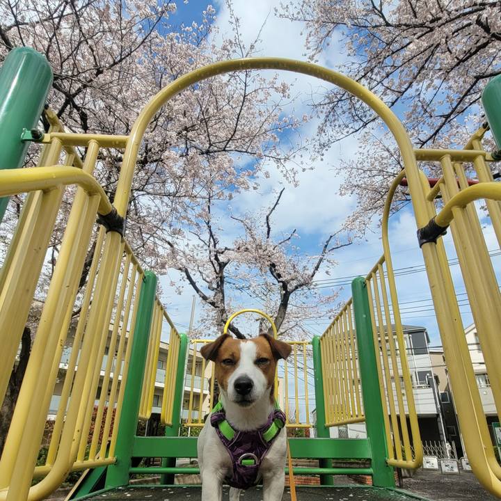 48e1757d e68f 47dc 8c01 f1f6e06c45b1 1679986984237