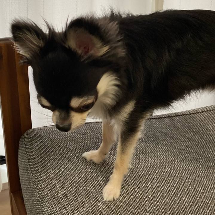 48e1cba8 17b0 491e 86b4 f7148d85fec0 1628430989530