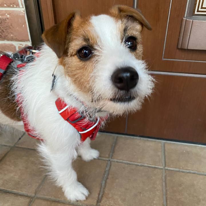 48e1da68 26b3 4a0e 9b83 422bfa7e6945 1738623314310