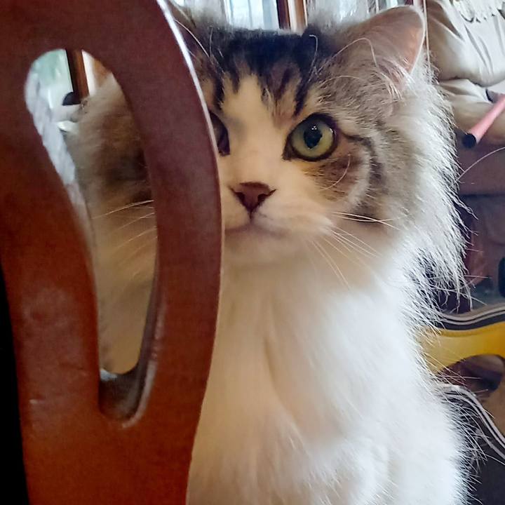 48e1ebb9 33f9 4a75 9433 e72d56fa2a38 1682987567475