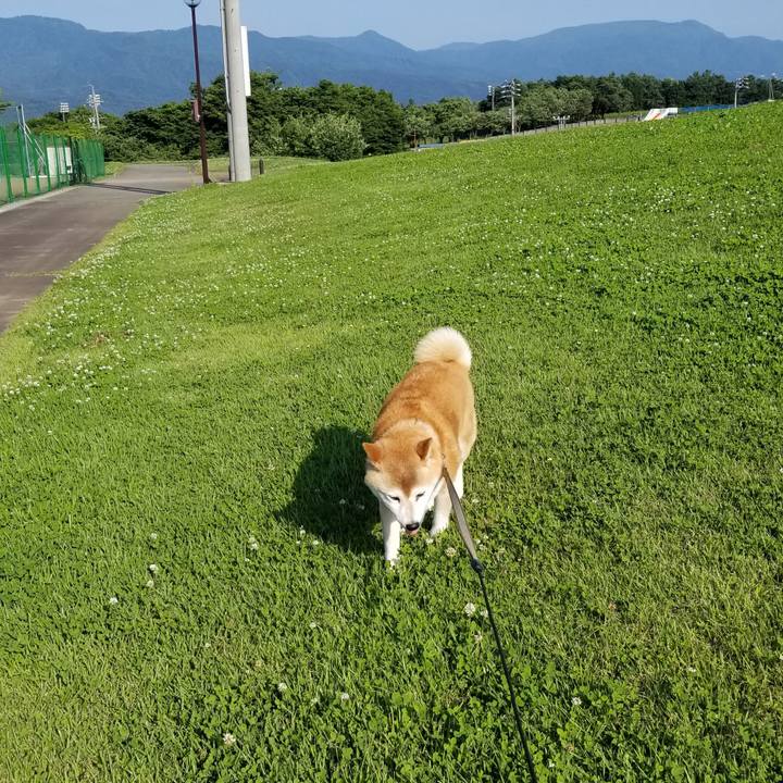 48e240fa 780b 4a2d 8bfa 23897f075de0 1686987434973