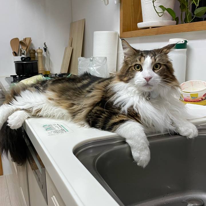 48e32255 0ddd 49c5 89de 9ac7b1a06380 1648411822005