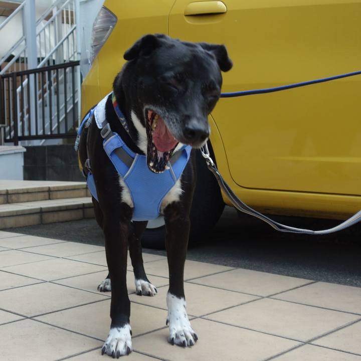 48e33b89 5d1f 4dba a1b0 be5e90bc5110 1690936151309