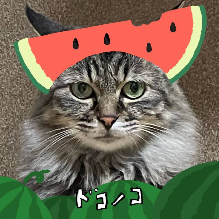 48e36f1d b8bd 4ef1 ac71 8349d36aa507 1720769284011