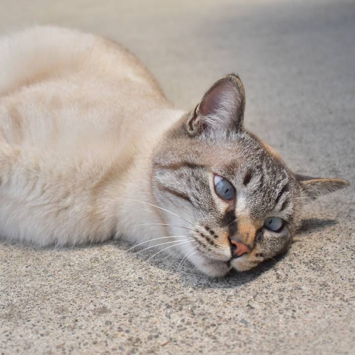 48e39173 b983 493f 87e5 e4acd089c346 1527388826817