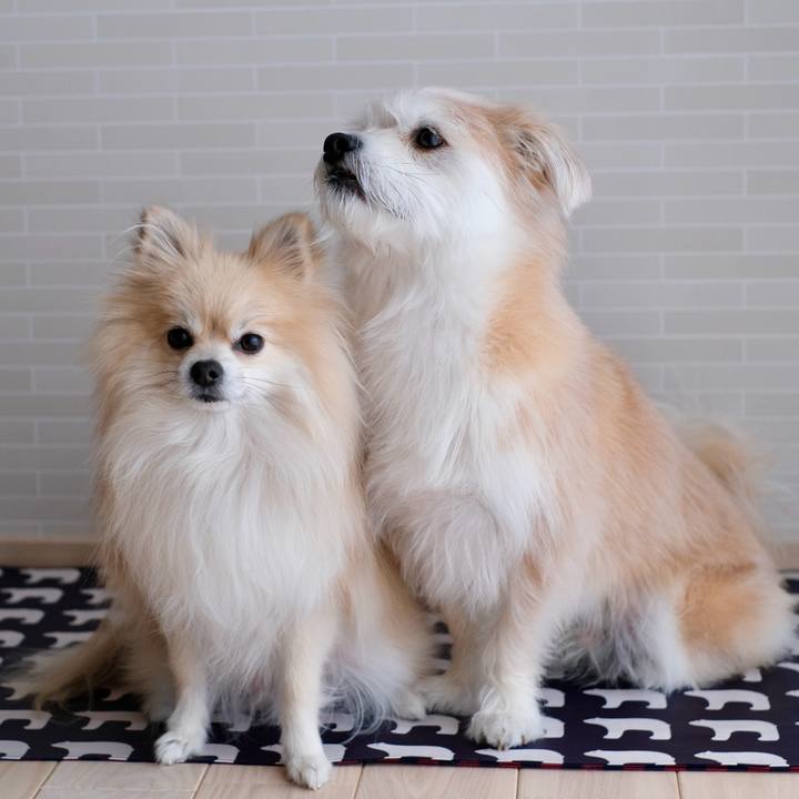 48e3c489 89a2 478c 90b1 f50994bf5ef3 1764020088890