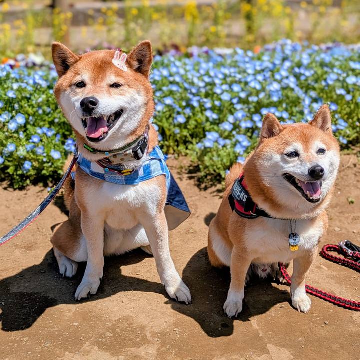 48e4022f 5532 4a69 8f88 3d0c17712f15 1744199040166