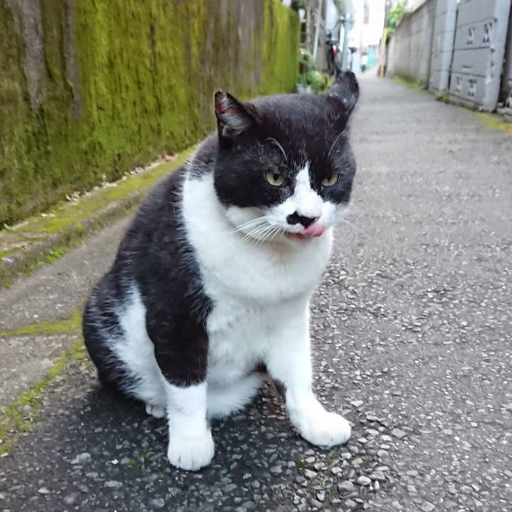 48e40453 4608 4db7 aa84 fee3b96d69a8 1627377497347