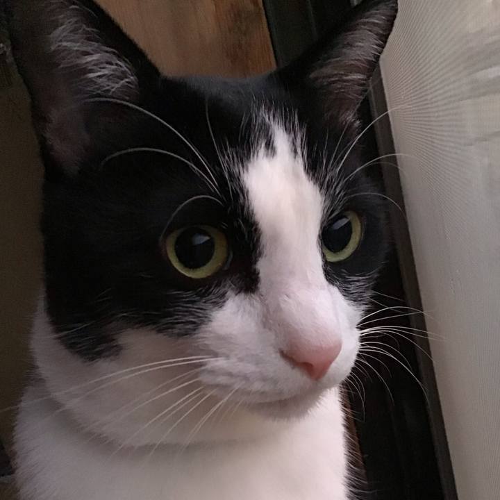 48e41640 11a8 4a7d 9541 2a4d5c9d844d 1723197868822