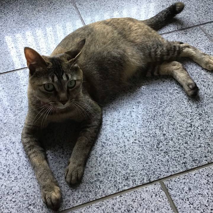 48e43758 7b35 4c96 abdb 8e1c3dd5ea3f 1593670002493