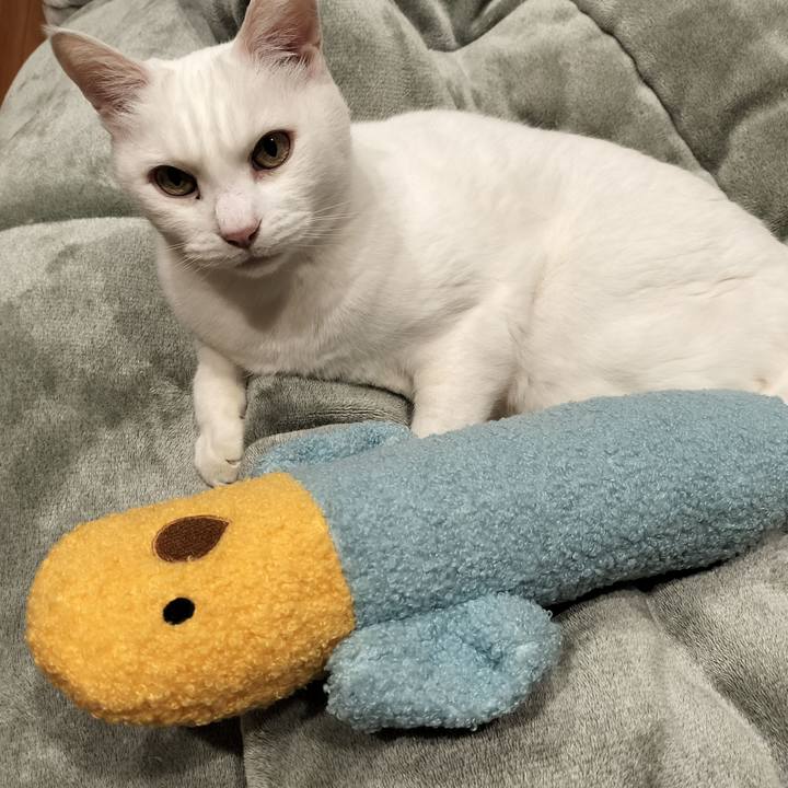 48e43b0d 4873 48a4 bddf 30ffbcb97706 1769861921403