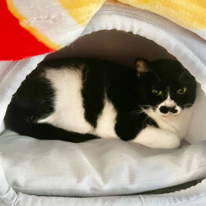 48e484c2 1d51 4ad7 a752 180f05941f9e 1704599095018