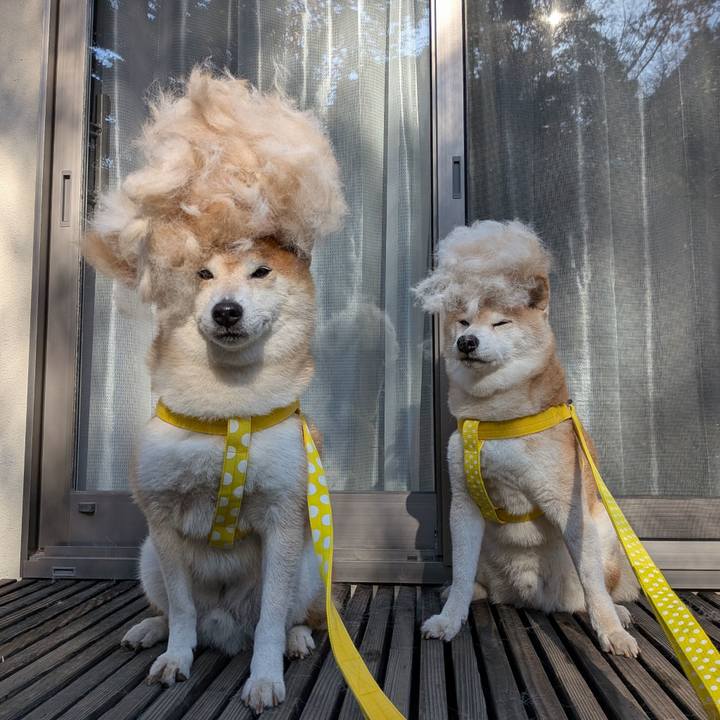 48e4c606 52e5 4cd4 914b 6184fdf6175a 1764643745416