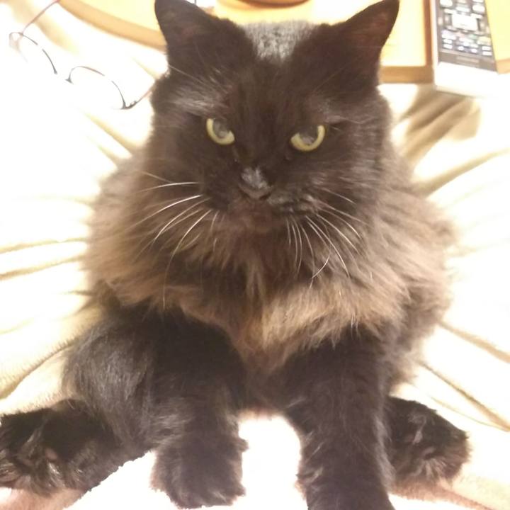 48e4d7e3 4533 4800 a13d c5a5825c3a30 1572094705864