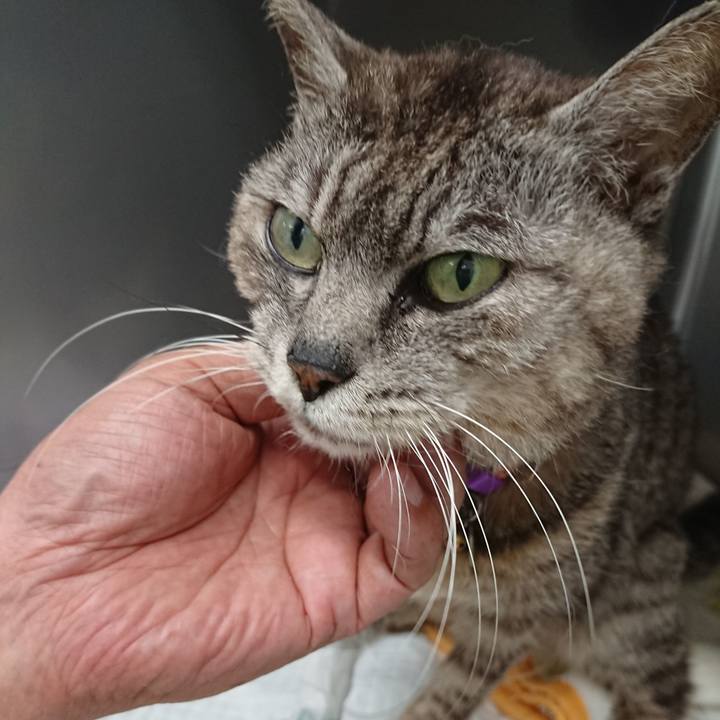 48e4fd73 22e5 4f6a 8a35 d341e03f4466 1597658199164