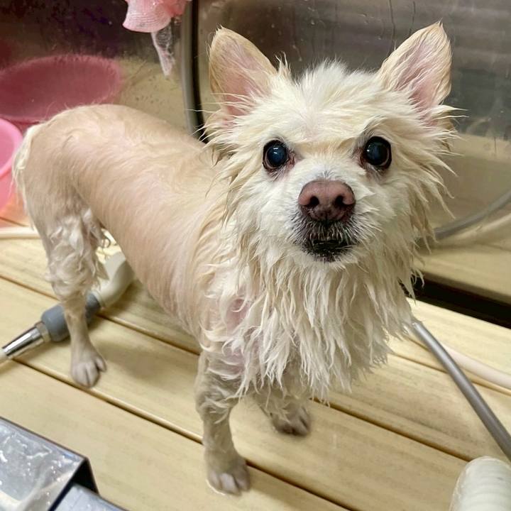 48e4feab ef2d 47a2 9f9e b83adf913a54 1769294433397