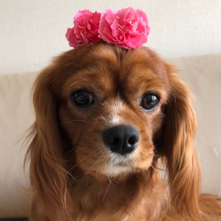 48e529d1 9eb8 4347 ad1e d4bfd91d150c 1563156017179