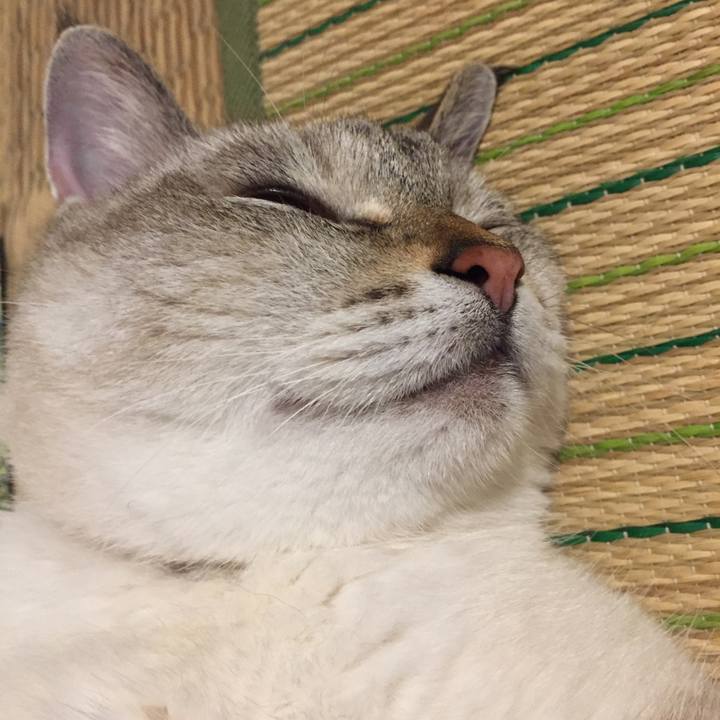 48e52ef8 687b 4811 8099 e41981f5be53 1564142003985