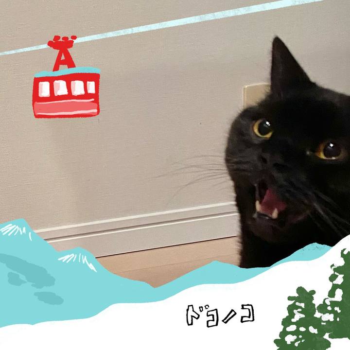 48e5347a 0dda 4b49 914d 2f2b66aba299 1707129547923