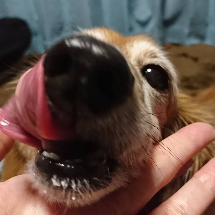 48e5b494 d175 4eb2 aeb7 cf82a1b6150d 1510745138321