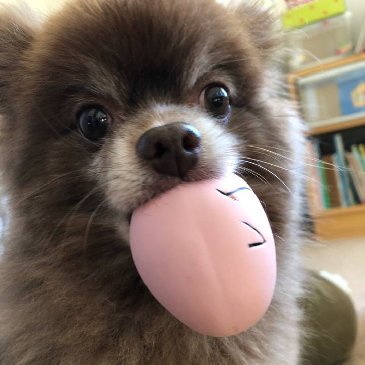 48e5b819 accc 4e8b bb20 c62270266b09 1580000771078