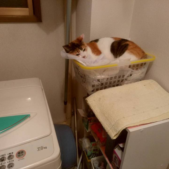 48e5bad9 4f56 41df 95b6 8a68c20d1181 1655637862345