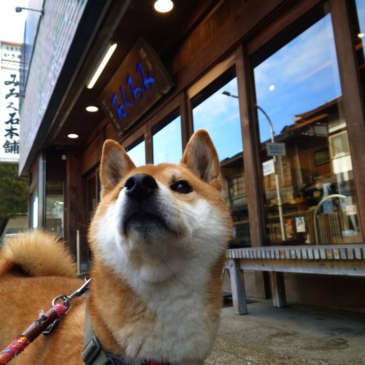 48e5e3b8 f5fc 46f1 86b8 7734506cad42 1767084718396