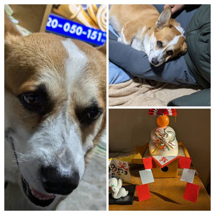 48e5ebe2 d662 47fe 9adf 44499326d03f 1735699909793