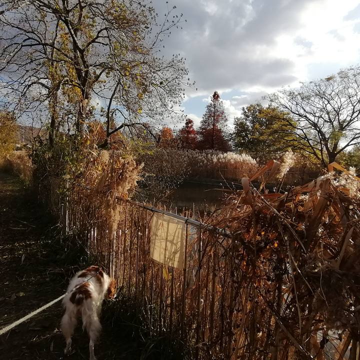 48e64508 ef5d 4393 a191 4953e1841430 1576152826681