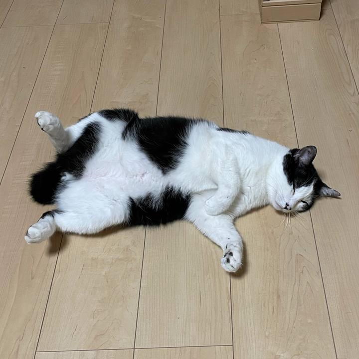 48e64512 33a7 4a45 b95b b685f99628aa 1622720060296