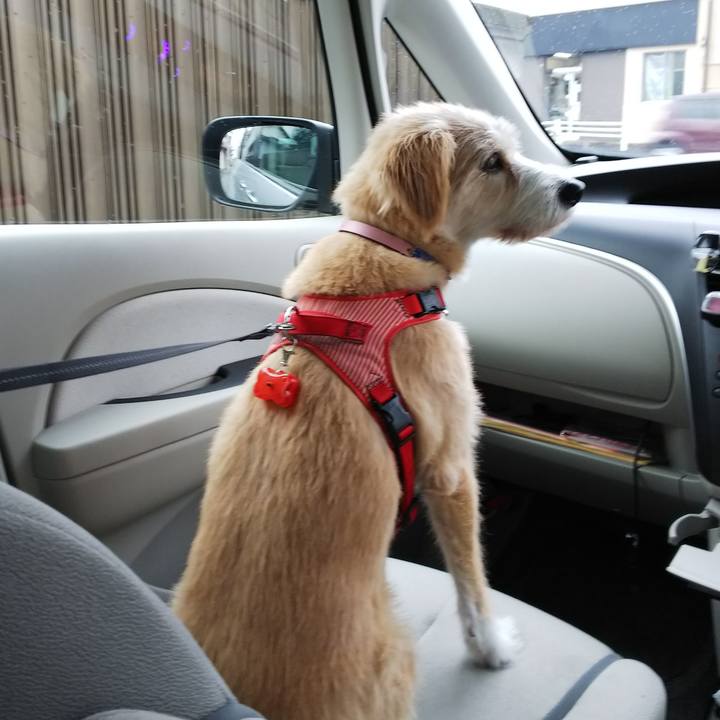 48e64575 4896 476c b83c 2983189aebb4 1538204520808