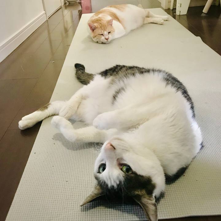 48e66dbb e01e 41a7 bec0 71a8515920fa 1621130059369