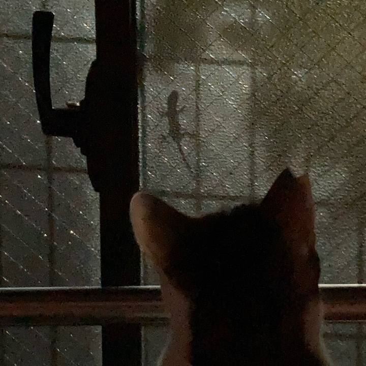 48e67a31 3c70 402b 9b67 c81bc776429e 1662418244866