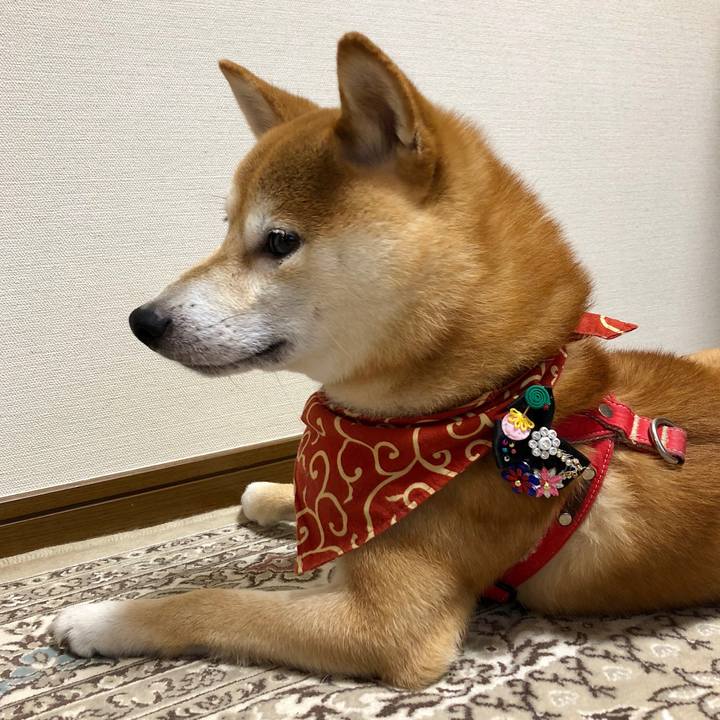 48e6809f 2f71 4113 91ac d35d959e7e83 1534587336800