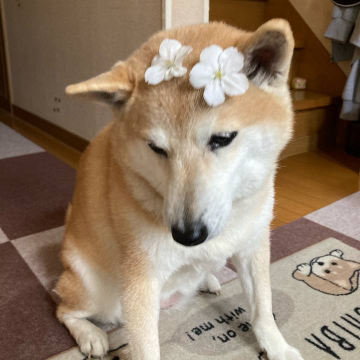 48e680d7 ba9e 4618 812d 2c1a4a84869f 1617438222290