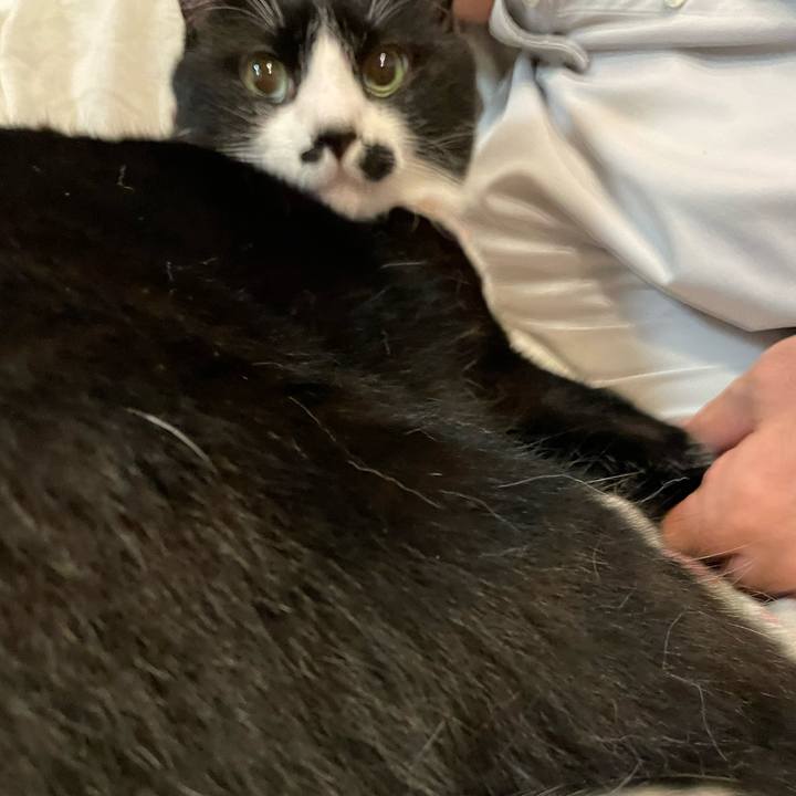 48e68ce2 f890 49e6 9c25 5e66be499f16 1757077315769