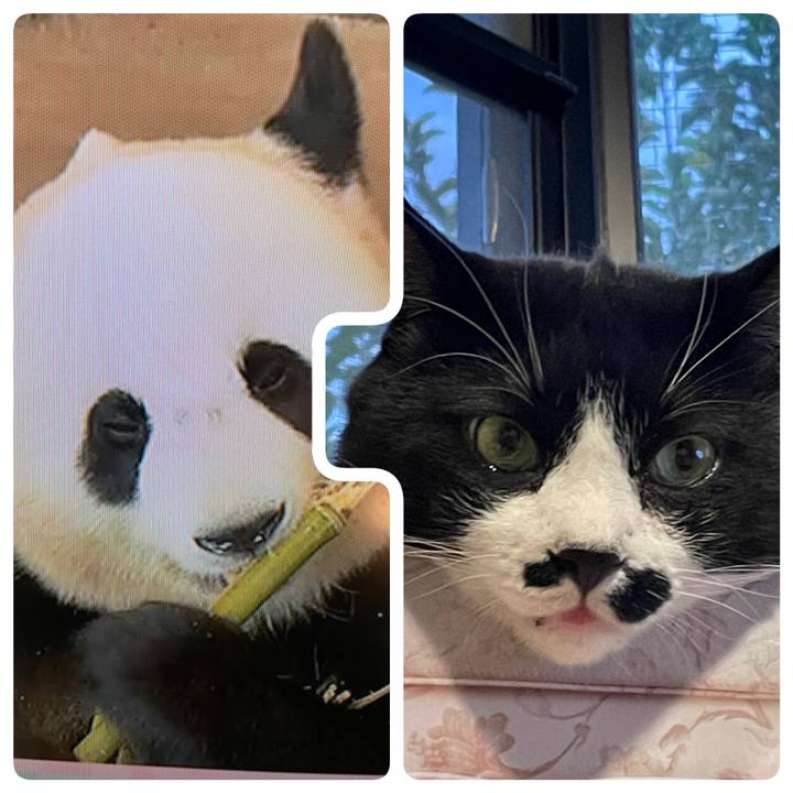 48e6cf7f 62e6 46e9 8a35 7d7284e66a13 1727307444727