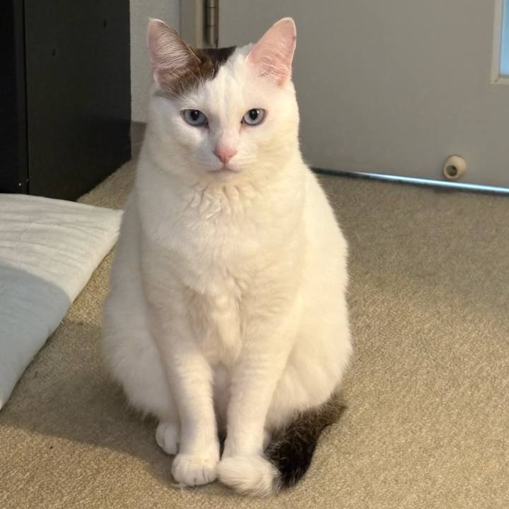 48e6cf95 33fe 4e4a 94ce bd69c250bf47 1741656439321