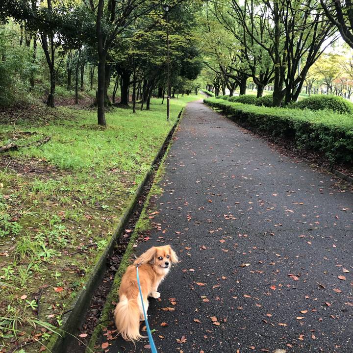 48e73196 e0d3 48b4 85a6 68d46633b393 1571528480834