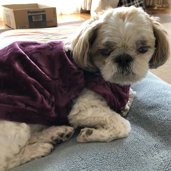 48e7a828 1b14 4c08 af81 b74772a1e36d 1529192604323